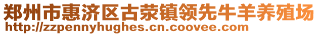 鄭州市惠濟(jì)區(qū)古滎鎮(zhèn)領(lǐng)先牛羊養(yǎng)殖場(chǎng)