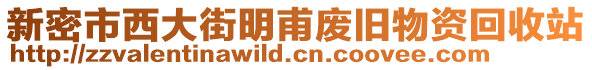 新密市西大街明甫廢舊物資回收站