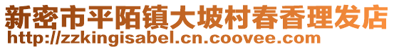 新密市平陌鎮(zhèn)大坡村春香理發(fā)店