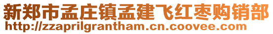 新郑市孟庄镇孟建飞红枣购销部