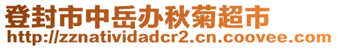 登封市中岳辦秋菊超市