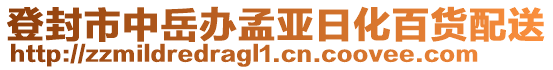 登封市中岳辦孟亞日化百貨配送