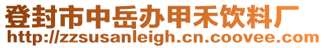 登封市中岳办甲禾饮料厂