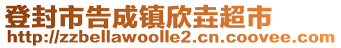 登封市告成鎮(zhèn)欣垚超市