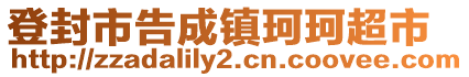 登封市告成鎮(zhèn)珂珂超市