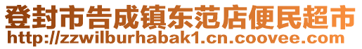 登封市告成鎮(zhèn)東范店便民超市