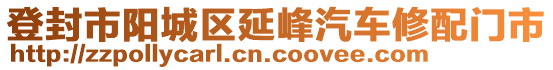 登封市陽城區(qū)延峰汽車修配門市