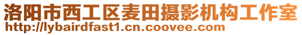 洛陽市西工區(qū)麥田攝影機(jī)構(gòu)工作室