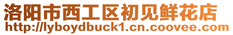 洛陽市西工區初見鮮花店