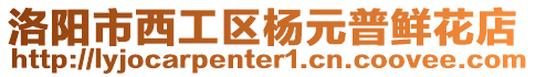 洛陽市西工區楊元普鮮花店