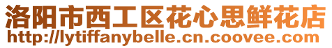 洛陽市西工區花心思鮮花店