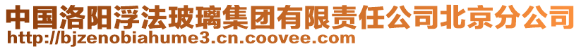 中國(guó)洛陽(yáng)浮法玻璃集團(tuán)有限責(zé)任公司北京分公司