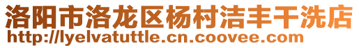 洛陽(yáng)市洛龍區(qū)楊村潔豐干洗店