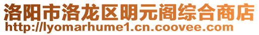 洛阳市洛龙区明元阁综合商店