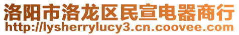 洛陽市洛龍區(qū)民宣電器商行