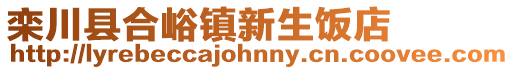 欒川縣合峪鎮(zhèn)新生飯店