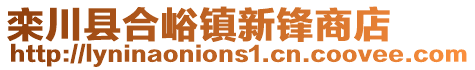 欒川縣合峪鎮新鋒商店