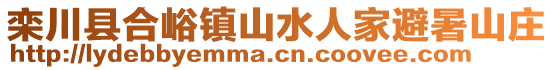 欒川縣合峪鎮(zhèn)山水人家避暑山莊