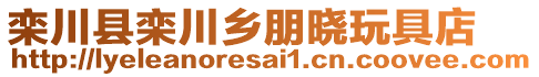 欒川縣欒川鄉(xiāng)朋曉玩具店