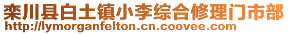 欒川縣白土鎮(zhèn)小李綜合修理門市部
