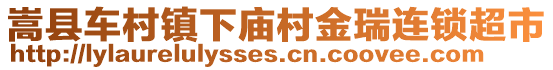 嵩县车村镇下庙村金瑞连锁超市