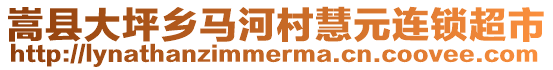 嵩縣大坪鄉(xiāng)馬河村慧元連鎖超市