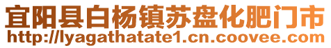 宜陽縣白楊鎮(zhèn)蘇盤化肥門市