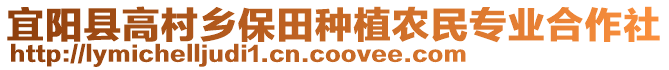 宜陽(yáng)縣高村鄉(xiāng)保田種植農(nóng)民專業(yè)合作社