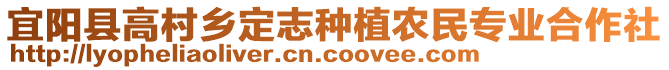 宜陽縣高村鄉(xiāng)定志種植農民專業(yè)合作社