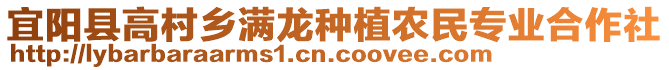 宜陽(yáng)縣高村鄉(xiāng)滿(mǎn)龍種植農(nóng)民專(zhuān)業(yè)合作社