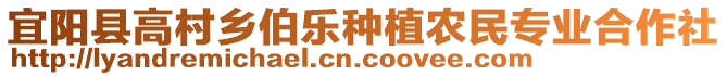 宜陽縣高村鄉(xiāng)伯樂種植農(nóng)民專業(yè)合作社