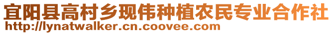 宜陽縣高村鄉(xiāng)現(xiàn)偉種植農(nóng)民專業(yè)合作社