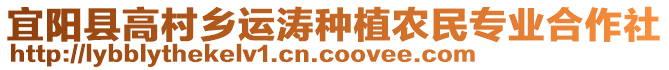 宜陽(yáng)縣高村鄉(xiāng)運(yùn)濤種植農(nóng)民專業(yè)合作社