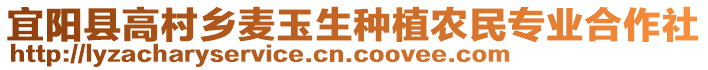 宜陽縣高村鄉(xiāng)麥玉生種植農(nóng)民專業(yè)合作社