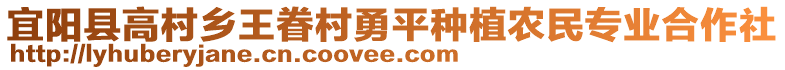 宜陽縣高村鄉(xiāng)王眷村勇平種植農(nóng)民專業(yè)合作社