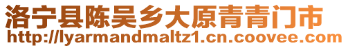 洛寧縣陳吳鄉大原青青門市