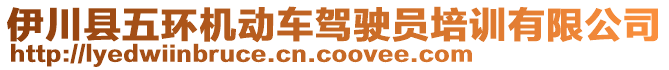 伊川縣五環機動車駕駛員培訓有限公司