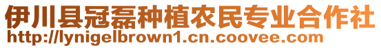 伊川縣冠磊種植農(nóng)民專業(yè)合作社