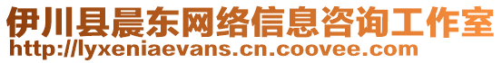 伊川縣晨東網(wǎng)絡(luò)信息咨詢工作室