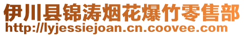 伊川縣錦濤煙花爆竹零售部