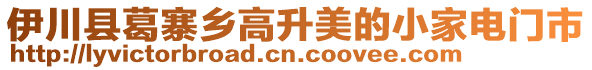 伊川縣葛寨鄉(xiāng)高升美的小家電門市