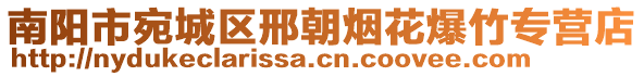 南陽市宛城區(qū)邢朝煙花爆竹專營店