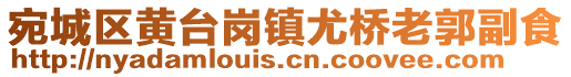 宛城區(qū)黃臺(tái)崗鎮(zhèn)尤橋老郭副食