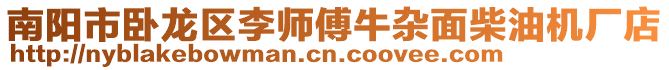 南陽市臥龍區李師傅牛雜面柴油機廠店