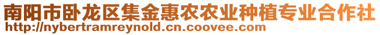 南陽市臥龍區集金惠農農業種植專業合作社