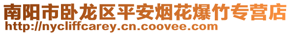 南陽市臥龍區平安煙花爆竹專營店