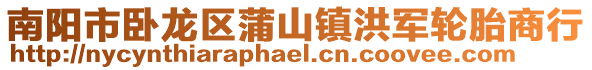 南陽市臥龍區(qū)蒲山鎮(zhèn)洪軍輪胎商行