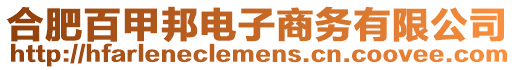 合肥百甲邦電子商務有限公司