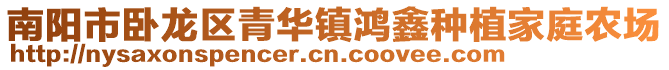 南陽市臥龍區(qū)青華鎮(zhèn)鴻鑫種植家庭農(nóng)場