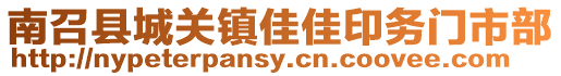 南召縣城關鎮佳佳印務門市部